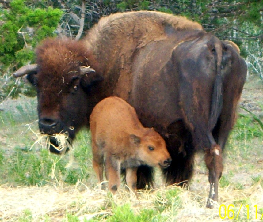 Hope with Mom on 06/13/08