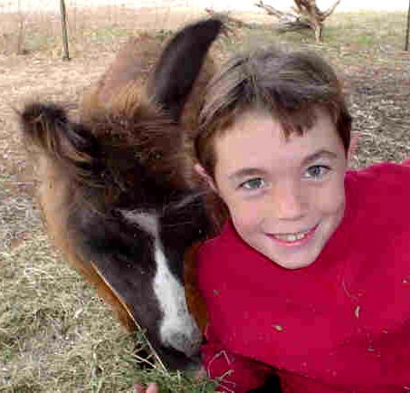 Luke with his llama, Saffron