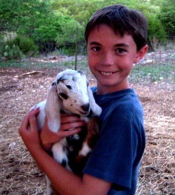 Luke & Duke at 1 day old